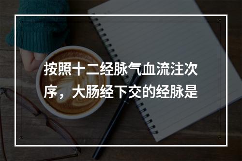 按照十二经脉气血流注次序，大肠经下交的经脉是