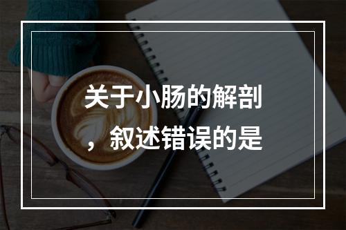 关于小肠的解剖，叙述错误的是