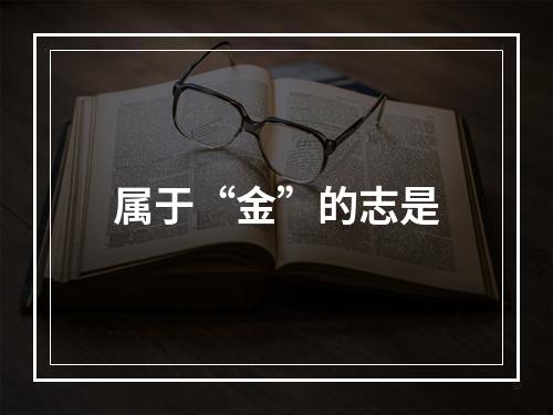 属于“金”的志是