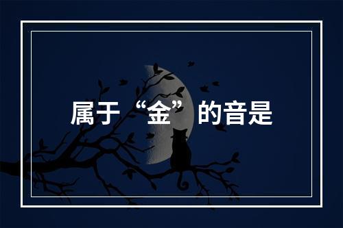 属于“金”的音是