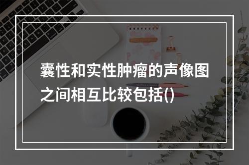 囊性和实性肿瘤的声像图之间相互比较包括()