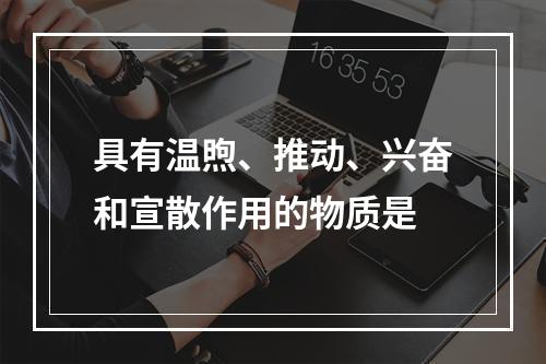 具有温煦、推动、兴奋和宣散作用的物质是