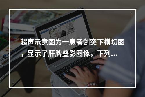 超声示意图为一患者剑突下横切图，显示了肝脾叠影图像，下列哪些