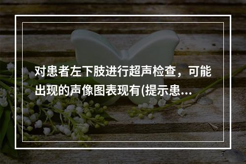 对患者左下肢进行超声检查，可能出现的声像图表现有(提示患者有