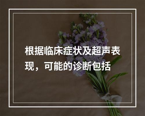 根据临床症状及超声表现，可能的诊断包括