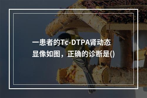 一患者的Tc-DTPA肾动态显像如图，正确的诊断是()