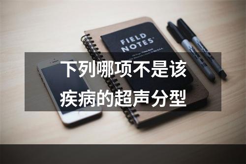 下列哪项不是该疾病的超声分型