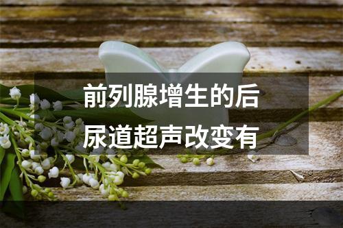 前列腺增生的后尿道超声改变有