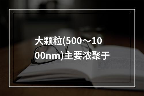 大颗粒(500～1000nm)主要浓聚于