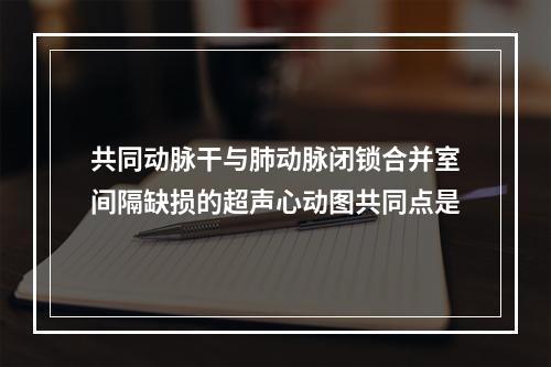 共同动脉干与肺动脉闭锁合并室间隔缺损的超声心动图共同点是