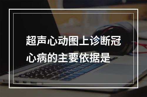 超声心动图上诊断冠心病的主要依据是