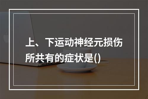 上、下运动神经元损伤所共有的症状是()