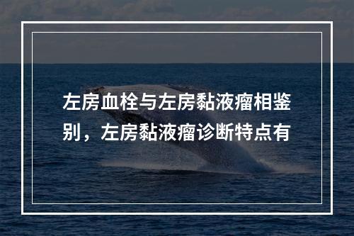 左房血栓与左房黏液瘤相鉴别，左房黏液瘤诊断特点有