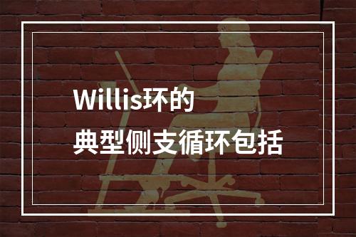 Willis环的典型侧支循环包括