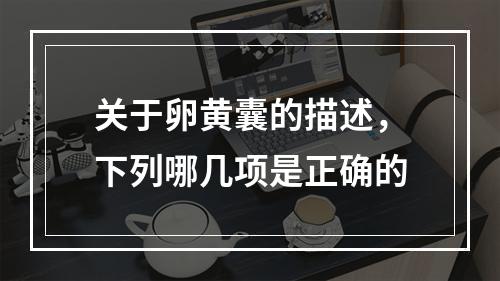 关于卵黄囊的描述，下列哪几项是正确的