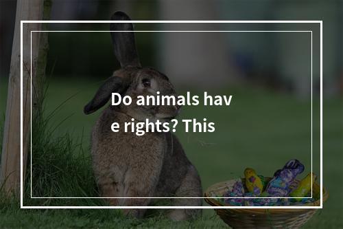 Do animals have rights? This