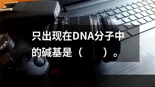 只出现在DNA分子中的碱基是（　　）。