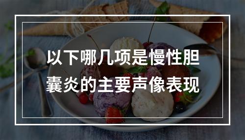 以下哪几项是慢性胆囊炎的主要声像表现