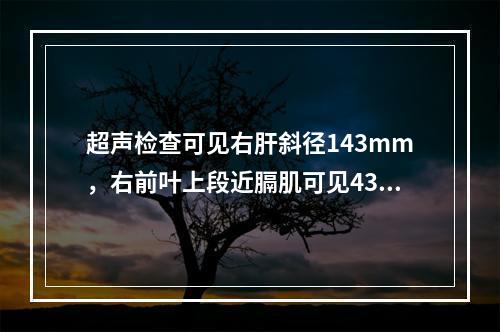 超声检查可见右肝斜径143mm，右前叶上段近膈肌可见43mm