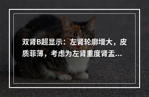 双肾B超显示：左肾轮廓增大，皮质菲薄，考虑为左肾重度肾盂积水