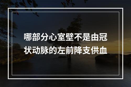 哪部分心室壁不是由冠状动脉的左前降支供血