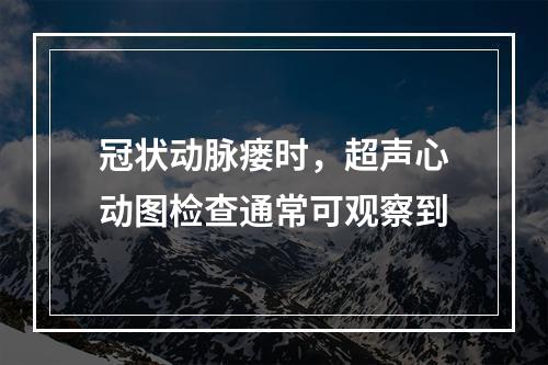 冠状动脉瘘时，超声心动图检查通常可观察到