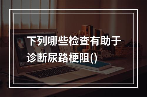 下列哪些检查有助于诊断尿路梗阻()