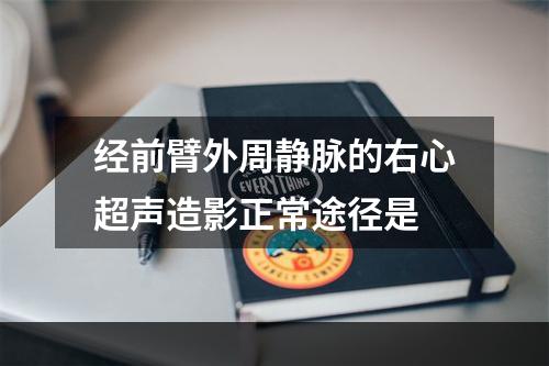 经前臂外周静脉的右心超声造影正常途径是