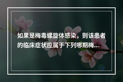 如果是梅毒螺旋体感染，则该患者的临床症状应属于下列哪期梅毒