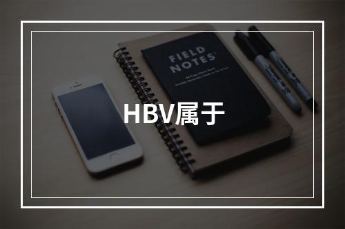 HBV属于