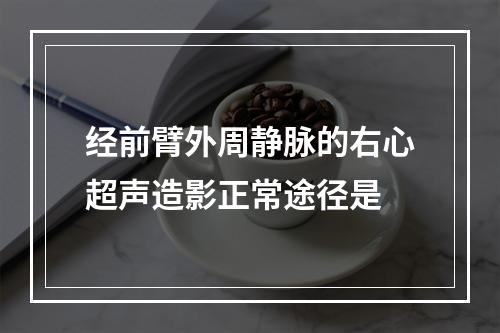 经前臂外周静脉的右心超声造影正常途径是