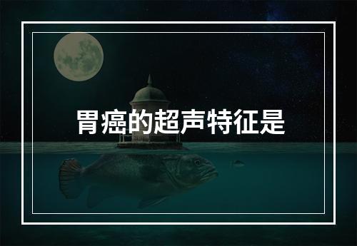 胃癌的超声特征是