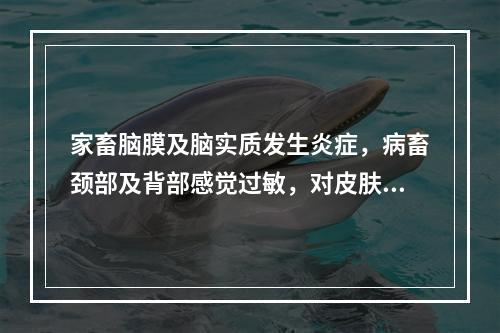 家畜脑膜及脑实质发生炎症，病畜颈部及背部感觉过敏，对皮肤轻