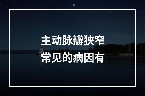 主动脉瓣狭窄常见的病因有