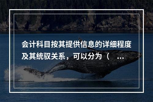 会计科目按其提供信息的详细程度及其统驭关系，可以分为（　　）