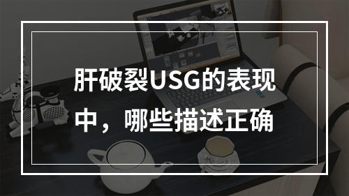 肝破裂USG的表现中，哪些描述正确