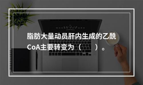 脂肪大量动员肝内生成的乙酰CoA主要转变为（　　）。