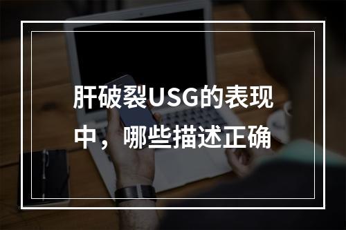 肝破裂USG的表现中，哪些描述正确