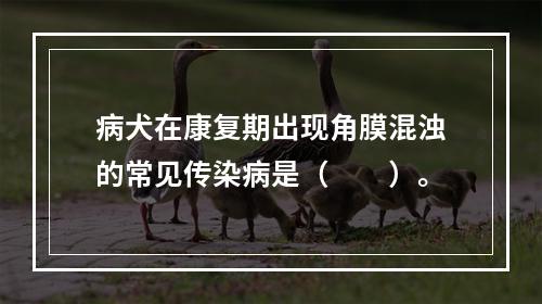 病犬在康复期出现角膜混浊的常见传染病是（　　）。