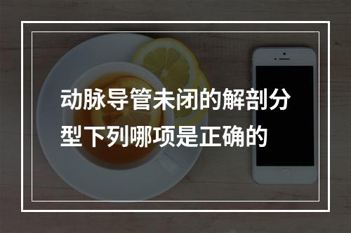 动脉导管未闭的解剖分型下列哪项是正确的