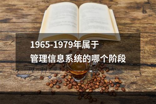 1965-1979年属于管理信息系统的哪个阶段