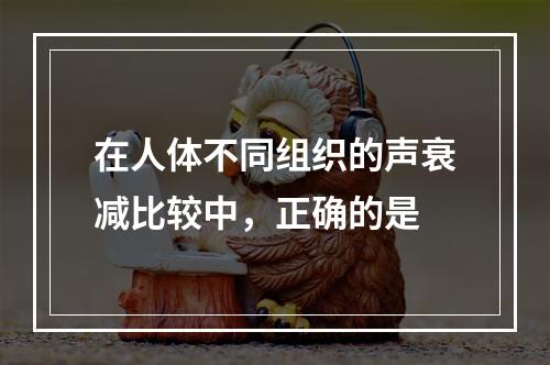 在人体不同组织的声衰减比较中，正确的是