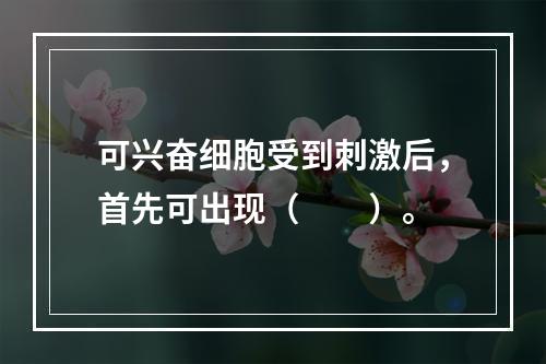 可兴奋细胞受到刺激后，首先可出现（　　）。