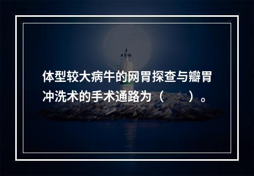 体型较大病牛的网胃探查与瓣胃冲洗术的手术通路为（　　）。