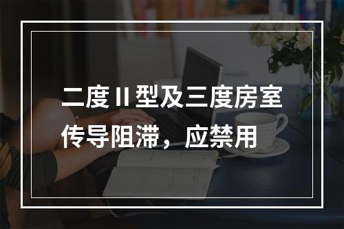 二度Ⅱ型及三度房室传导阻滞，应禁用