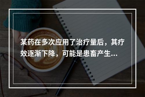 某药在多次应用了治疗量后，其疗效逐渐下降，可能是患畜产生了