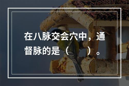 在八脉交会穴中，通督脉的是（　　）。