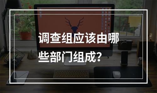 调查组应该由哪些部门组成？