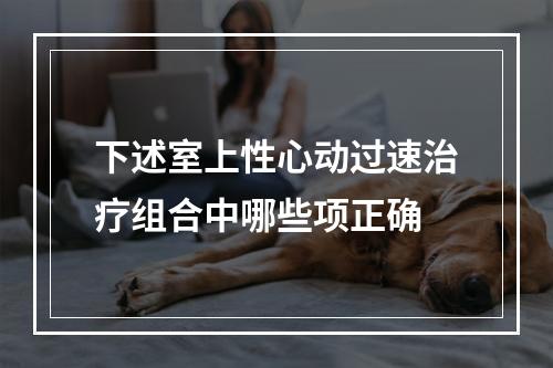 下述室上性心动过速治疗组合中哪些项正确