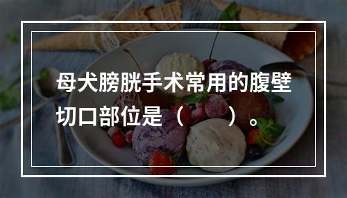 母犬膀胱手术常用的腹壁切口部位是（　　）。